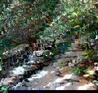 Fraser Island 4WD Tour from Rainbow Beach - Accommodation Mooloolaba