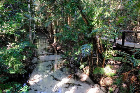Fraser Island 4WD Tour From Rainbow Beach - Accommodation Mooloolaba 0