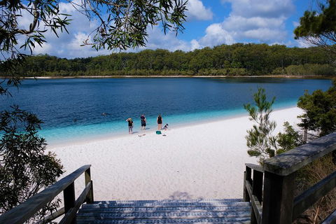 Fraser Island 4WD Tour From Rainbow Beach - Accommodation Mooloolaba 3