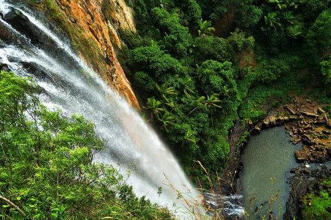 Private Tour - Rainforest & Waterfalls Extravaganza - Accommodation Mooloolaba 2