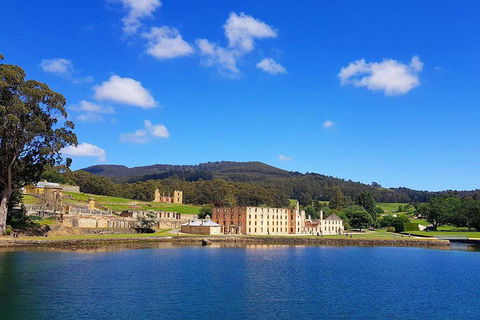 Tasmania 4 Day East Coast + Launceston - Accommodation Mooloolaba 0