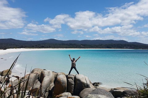 Tasmania 4 Day East Coast + Launceston - Accommodation Mooloolaba 1