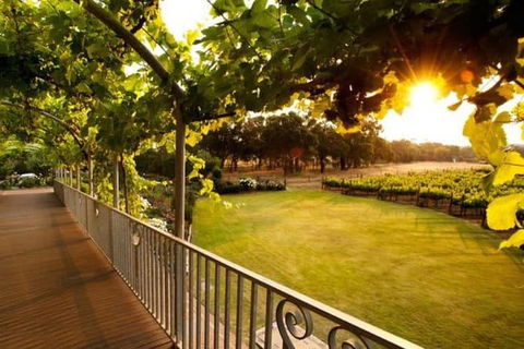 Busselton Jetty + Train Ride + Winery + Scenic Drive Full Day Tour - Accommodation Mooloolaba 1
