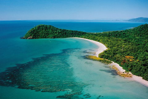 Daintree Rainforest, Cape Tribulation, Mossman Gorge Small-Group Day Tour - Accommodation Mooloolaba 4