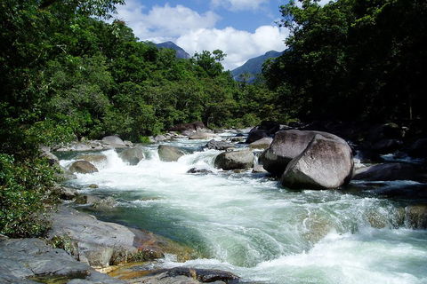 Daintree Rainforest, Cape Tribulation, Mossman Gorge Small-Group Day Tour - Accommodation Mooloolaba 5