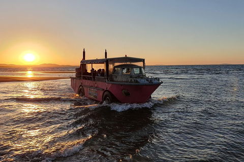 Town Of 1770 Afternoon Cruise - Accommodation Mooloolaba 3