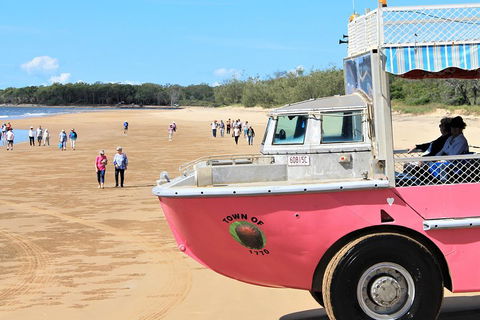 1770 Coastline Tour By LARC Amphibious Vehicle Including Picnic Lunch - Accommodation Mooloolaba 0