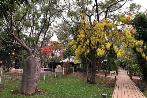Wet Season Mitchell Falls Tour - Mitchell Falls, Horizontal Falls & Cygnet Bay - Accommodation Mooloolaba 1