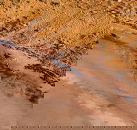 Scenic Flight Lizard Safari - Accommodation Mooloolaba