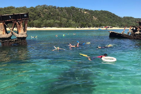 All Inclusive Dolphin And Tangalooma Wrecks Cruise - Accommodation Mooloolaba 0