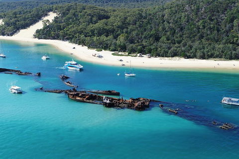 All Inclusive Dolphin And Tangalooma Wrecks Cruise - Accommodation Mooloolaba 4