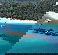 All Inclusive Tangalooma Wrecks Cruise Tour From Gold Coast - Accommodation Mooloolaba