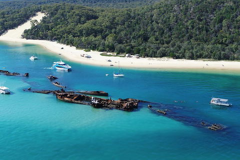 All Inclusive Tangalooma Wrecks Cruise Tour From Gold Coast - Accommodation Mooloolaba 0