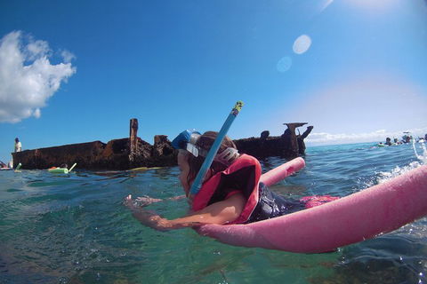 All Inclusive Tangalooma Wrecks Cruise Tour From Gold Coast - Accommodation Mooloolaba 3