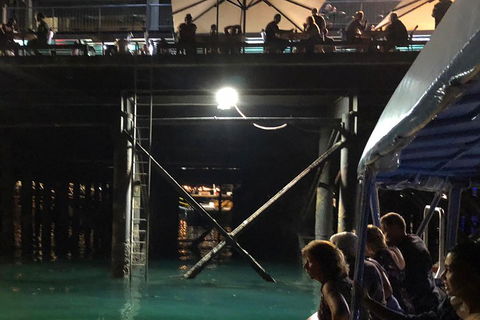 Darwin Sunset Cruise Including Fish 'n' Chips - Accommodation Mooloolaba 0