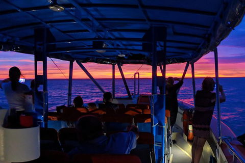 Darwin Sunset Cruise Including Fish 'n' Chips - Accommodation Mooloolaba 1