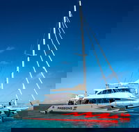 Passions of Paradise Great Barrier Reef Snorkel and Dive Cruise from Cairns by Luxury Catamaran - Accommodation Mooloolaba
