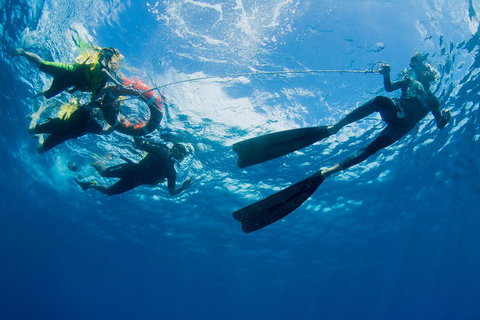 Passions Of Paradise Great Barrier Reef Snorkel And Dive Cruise From Cairns By Luxury Catamaran - Accommodation Mooloolaba 2