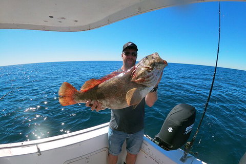 1/2 Day 5 Hour Offshore Fishing Charter - Accommodation Mooloolaba 2