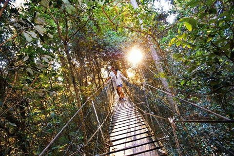 O'Reilly's & Lamington National Park From Brisbane - Accommodation Mooloolaba 5
