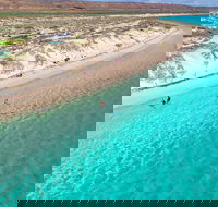 Ningaloo in a Day - Full Day Hike and Snorkel Tour with Lunch - Accommodation Mooloolaba