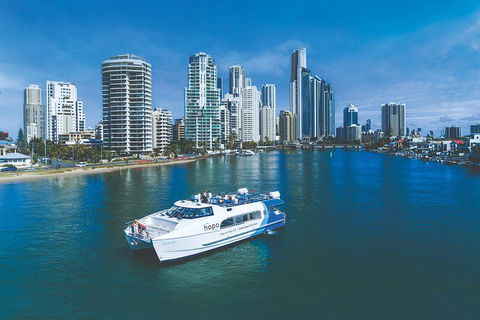 Hop On Hop Off Day Pass | Hopo Gold Coast Ferry - Accommodation Mooloolaba 3