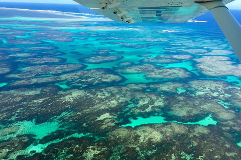 Shipwreck Special Full Day Tour Of The Abrolhos Islands - Accommodation Mooloolaba 1