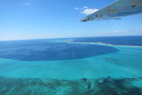 Shipwreck Special Full Day Tour Of The Abrolhos Islands - Accommodation Mooloolaba 2