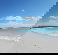 Shipwreck Special Nature Tour/Half Day Tour - Accommodation Mooloolaba