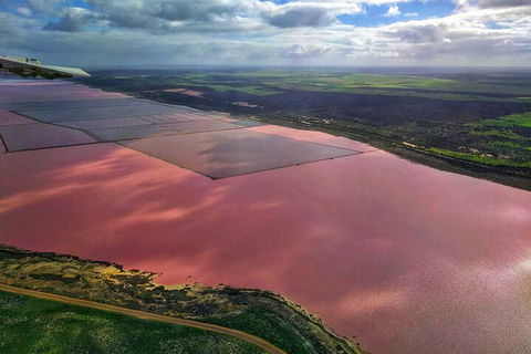 Kalbarri, Pink Lake And Abrolhos Islands Nature Tour - Accommodation Mooloolaba 1