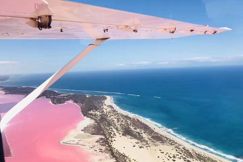 Kalbarri, Pink Lake And Abrolhos Islands Nature Tour - Accommodation Mooloolaba 4