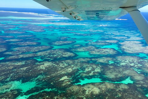 Kalbarri, Pink Lake And Abrolhos Islands Nature Tour - Accommodation Mooloolaba 5