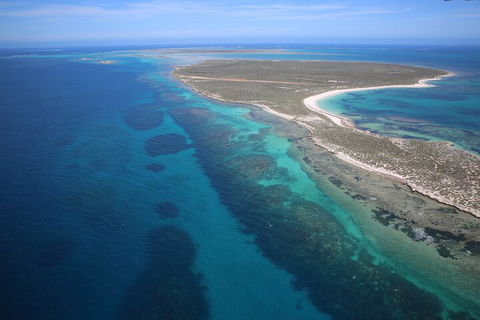 Pink Lake + Abrolhos Islands Scenic Flight - Accommodation Mooloolaba 0