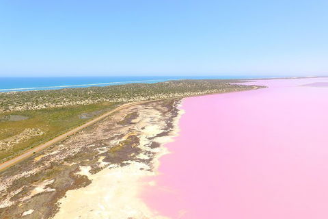 Pink Lake + Abrolhos Islands Scenic Flight - Accommodation Mooloolaba 4