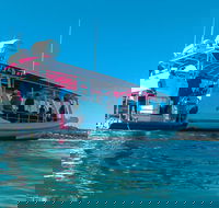 Best of Moreton Bay Cruise - Accommodation Mooloolaba
