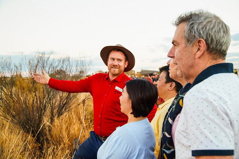 Uluru (Ayers Rock) Sunset With Outback Barbecue Dinner And Star Tour - Accommodation Mooloolaba 3