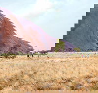 Uluru Sunrise and Guided Base Walk - Accommodation Mooloolaba