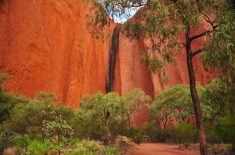Uluru Sunrise And Guided Base Walk - Accommodation Mooloolaba 3