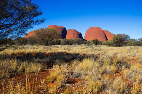 Kata Tjuta Sunrise And Valley Of The Winds Half-Day Trip - Accommodation Mooloolaba 1