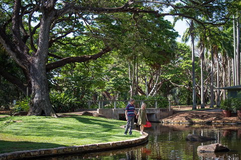 Darwin City Sights And Jumping Crocodile Cruise - Accommodation Mooloolaba 5