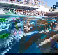 Great Barrier Reef Day Cruise from Cairns Including Snorkeling and Marine Biologist Presentation - Accommodation Mooloolaba