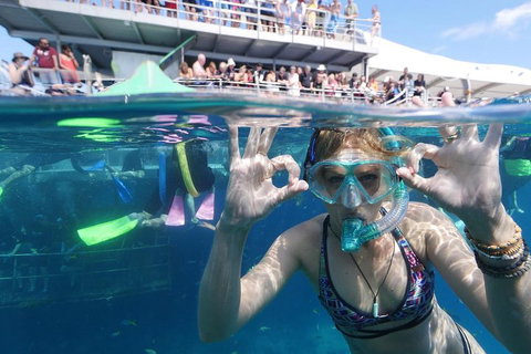 Great Barrier Reef Day Cruise From Cairns Including Snorkeling And Marine Biologist Presentation - Accommodation Mooloolaba 0