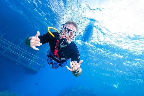 Great Barrier Reef Day Cruise From Cairns Including Snorkeling And Marine Biologist Presentation - Accommodation Mooloolaba 3