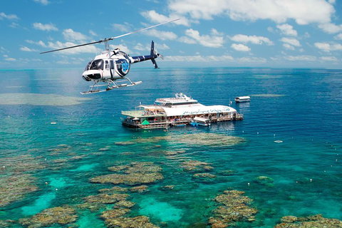 Great Barrier Reef Day Cruise From Cairns Including Snorkeling And Marine Biologist Presentation - Accommodation Mooloolaba 5