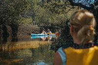 Kayak Tour in Adelaide Dolphin Sanctuary