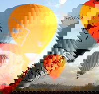 Natural Bridge  Springbrook Waterfalls Tour  Hot Air Balloon with Breakfast - Accommodation Mooloolaba