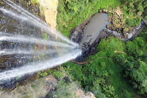 Natural Bridge & Springbrook Waterfalls Tour + Hot Air Balloon With Breakfast - Accommodation Mooloolaba 1