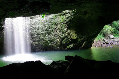 Natural Bridge & Springbrook Waterfalls Tour + Hot Air Balloon With Breakfast - Accommodation Mooloolaba 2