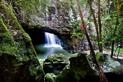 Natural Bridge & Springbrook Waterfalls Tour + Hot Air Balloon With Breakfast - Accommodation Mooloolaba 4