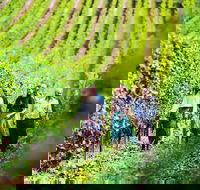 Tasmanian Wine Tour - Accommodation Mooloolaba